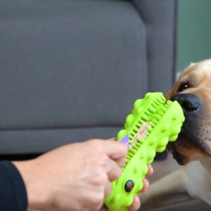 dog alligator chew toy